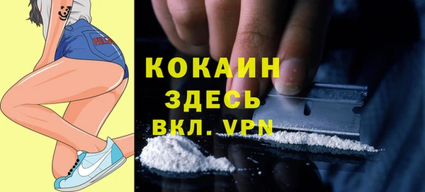 твердый Алексеевка