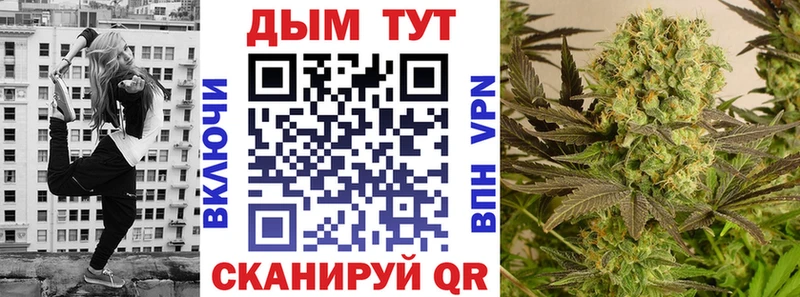 где найти   Липки  Бошки Шишки тримм 